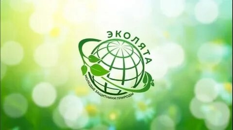 &amp;quot;Эколята – зелёное волонтёрство».